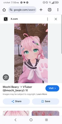 mochi beary