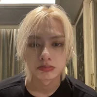 Wen Junhui