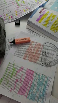 Your school homework