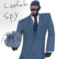 Loofah Spy