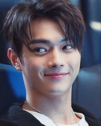 lu sicheng