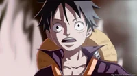 Luffy