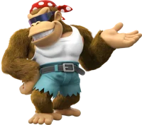 Funky kong