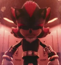 Shadow The Hedgehog