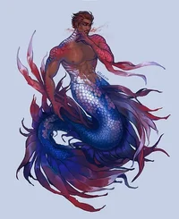 Miguel MERMAY o1