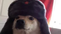 Soviet dog