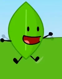 Leafy Bfdi 2010