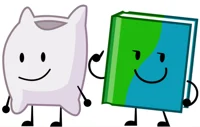 Book and Pillow