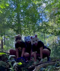 Therian adoption cen