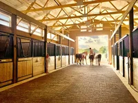 Jayfield Stables
