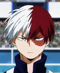 Shoto Todaroki 