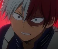 Shoto Todoroki