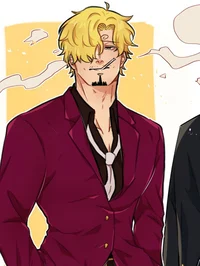 Injured Sanji