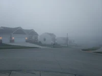 Level Suburbs Fog