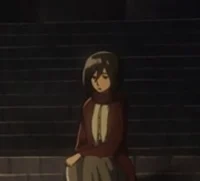 Mikasa