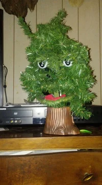 Dougless Furr