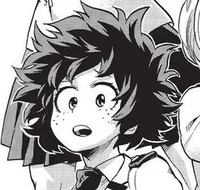 Izumi Midoriya 