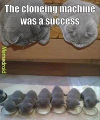 Cloning machine