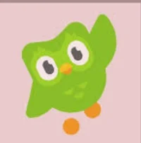 Duolingo 
