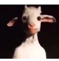 Evil Goat