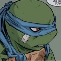 IDW Leonardo 