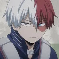 Shoto Todoroki 