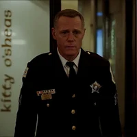 Hank Voight 