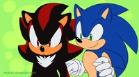 Sonic x Shadow