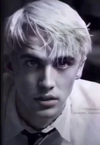 Draco Malfoy