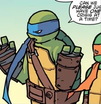 IDW Leonardo 