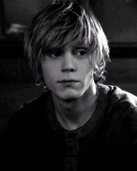 TATE LANGDON