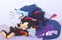 Sonadow Family