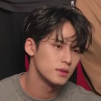 kim mingyu