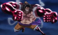 Luffy The Bounceman