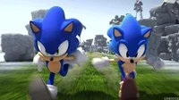 Hedgehog justice