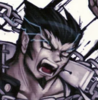 Nekomaru Nidai