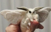 Mox the Moth