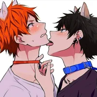 Your Poly Boyfriends