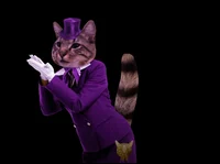 Mayor Mingus