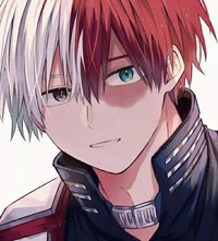 Shoto Todoroki