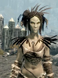 Altmer forsworn