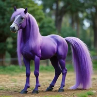 Grape Pony Girl Lady