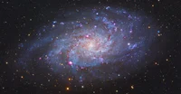 Triangulum galaxy
