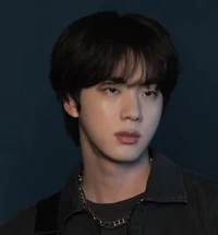 Kim seokjin 