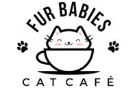 Fur Babies Cat Cafe