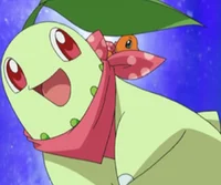 Chikorita go getter