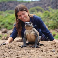 Animal adoption hepe