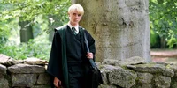 Draco malfoy 