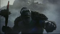 Kong 2024
