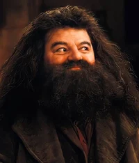 Rubeus Hagrid